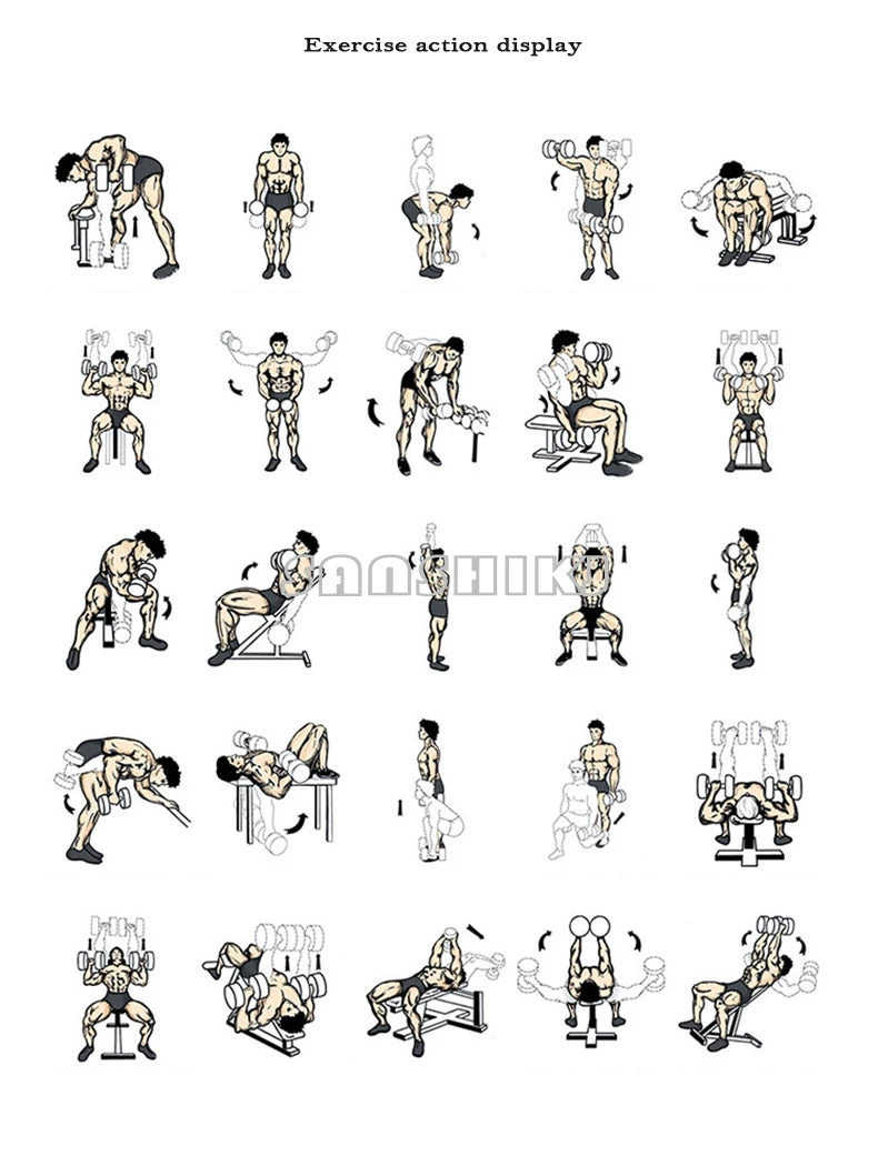 Round Rubber Coated Steel Dumbbell for Men and Women, Special Fitness Equipment, Classic, 5kg-20kg