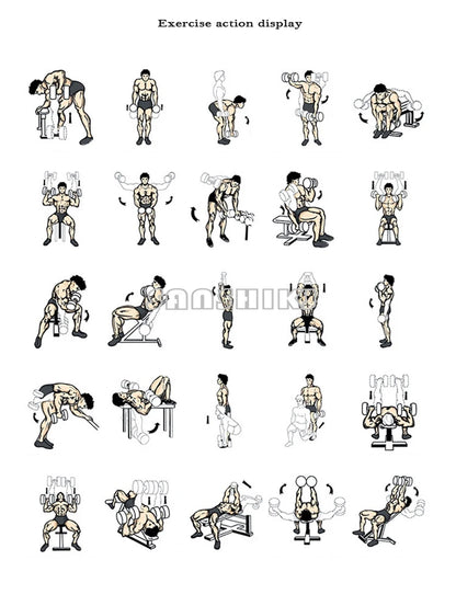 Round Rubber Coated Steel Dumbbell for Men and Women, Special Fitness Equipment, Classic, 5kg-20kg